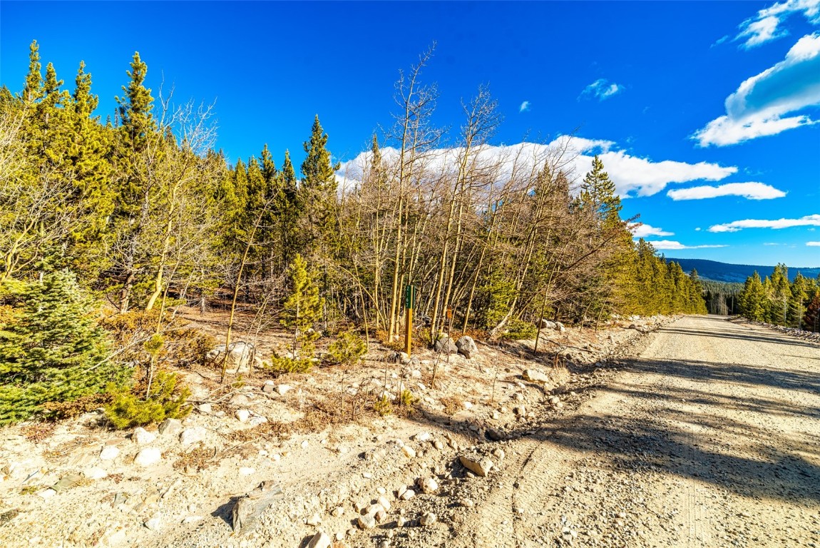 2167 Buckskin Road Alma CO 80440