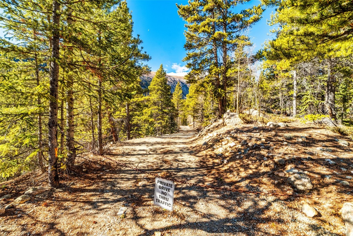 2167 Buckskin Road Alma CO 80440