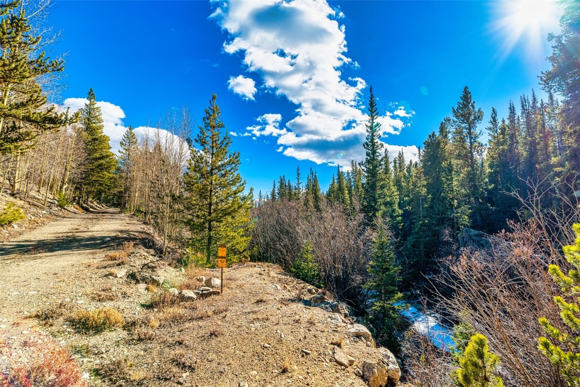 2167 Buckskin Road Alma CO 80440