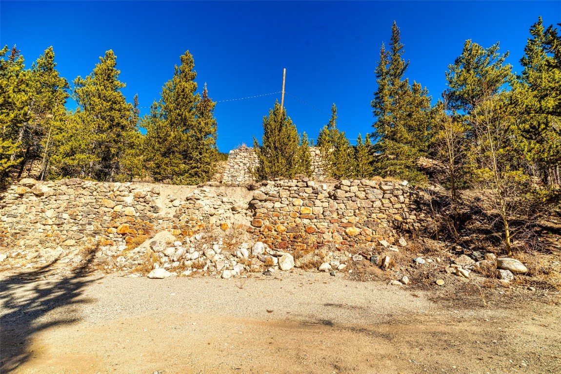 2167 Buckskin Road Alma CO 80440