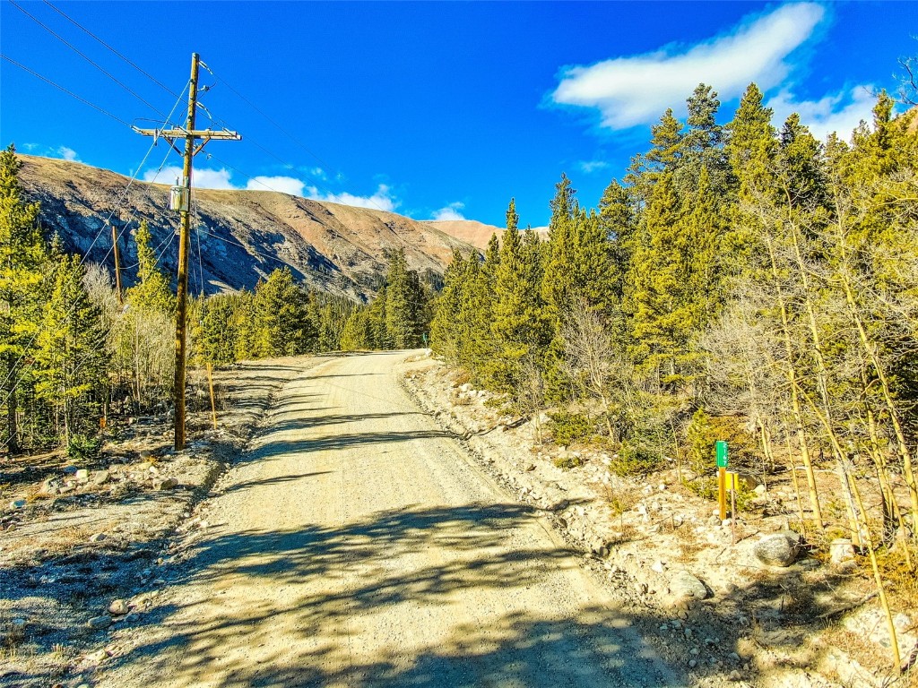 2167 Buckskin Road Alma CO 80440