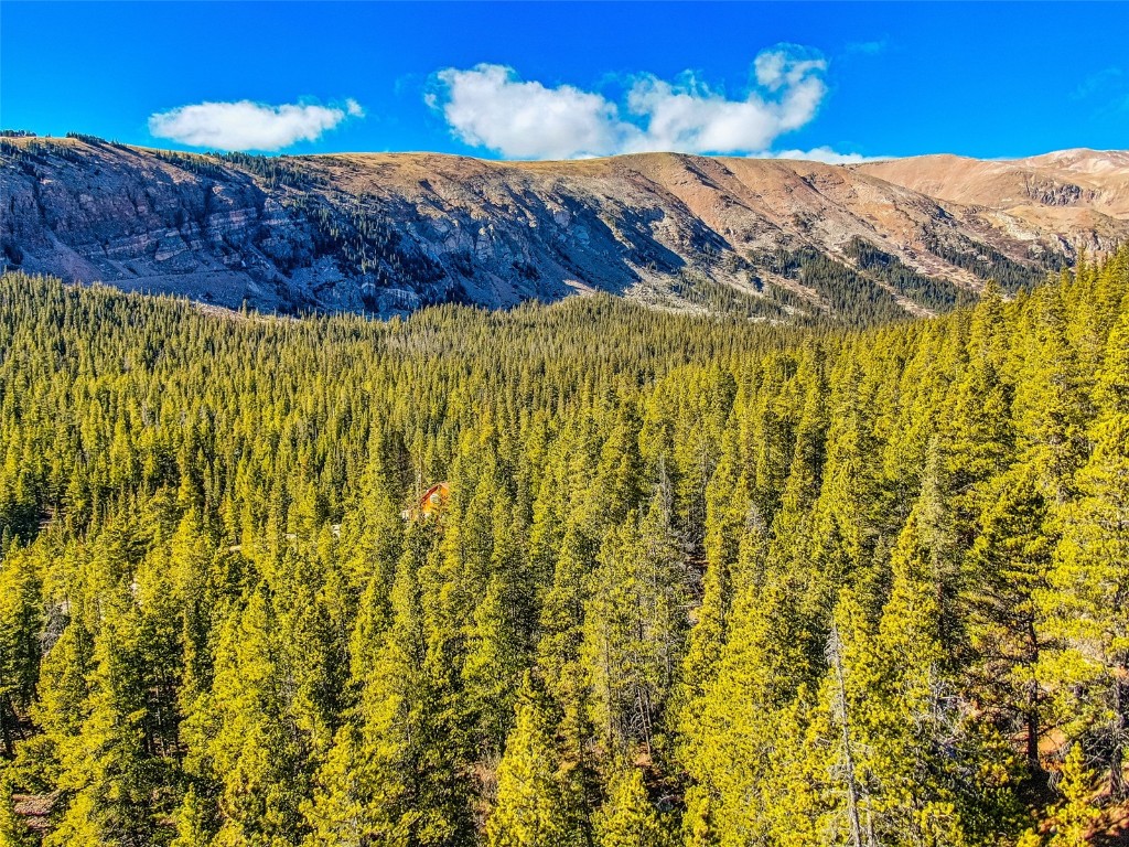 2167 Buckskin Road Alma CO 80440