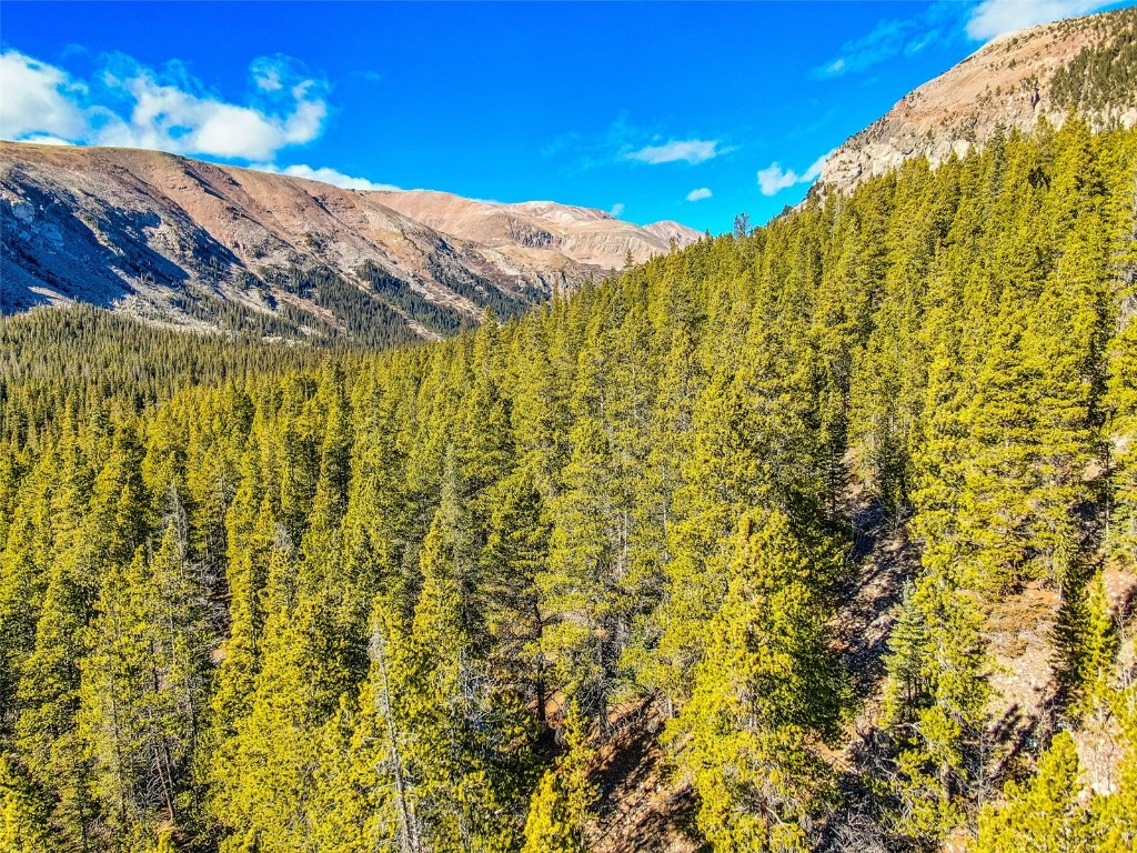 2167 Buckskin Road Alma CO 80440