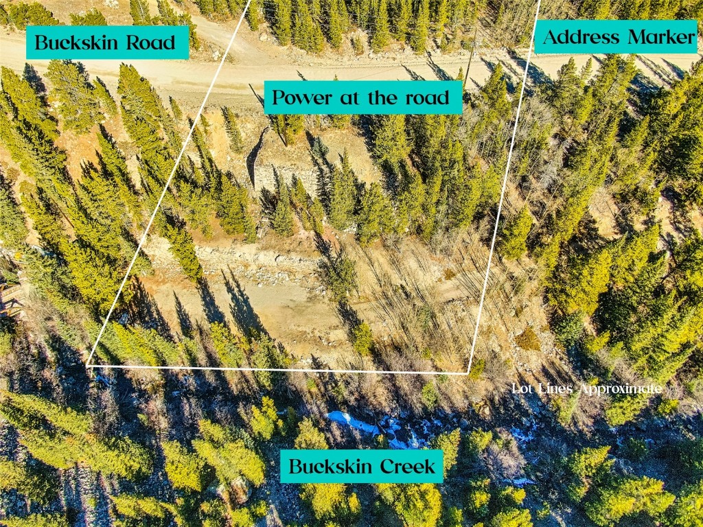 2167 Buckskin Road Alma CO 80440