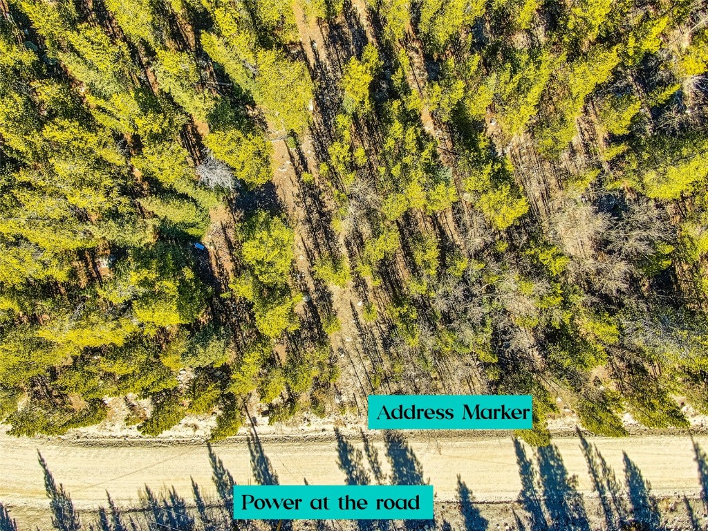 2167 Buckskin Road Alma CO 80440