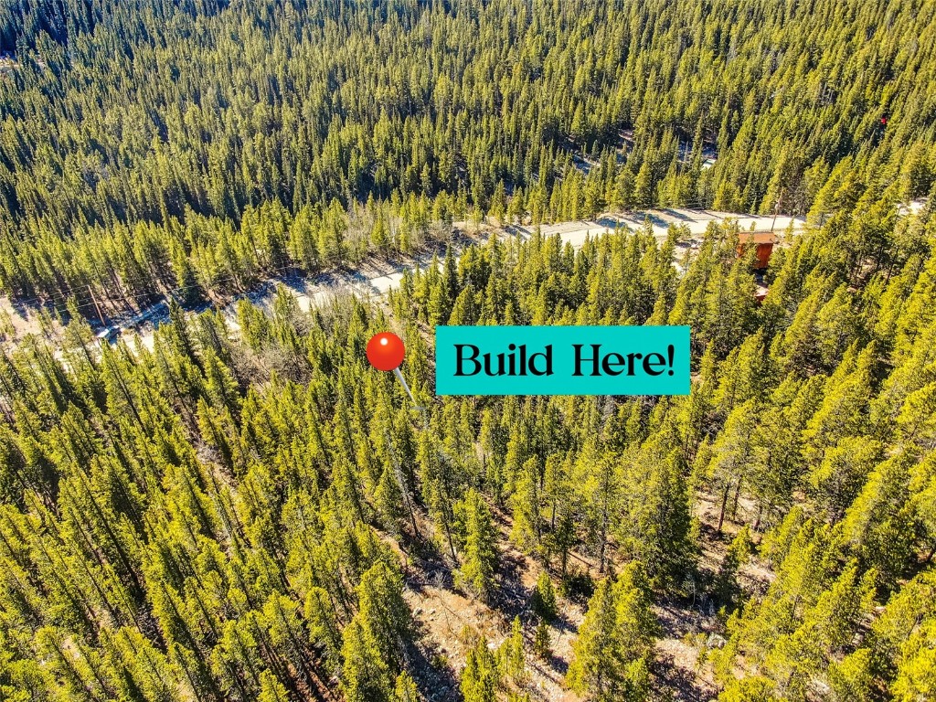 2167 Buckskin Road Alma CO 80440