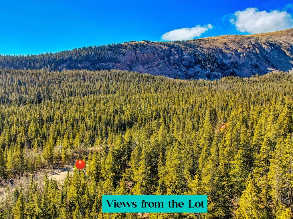 2167 Buckskin Road Alma CO 80440