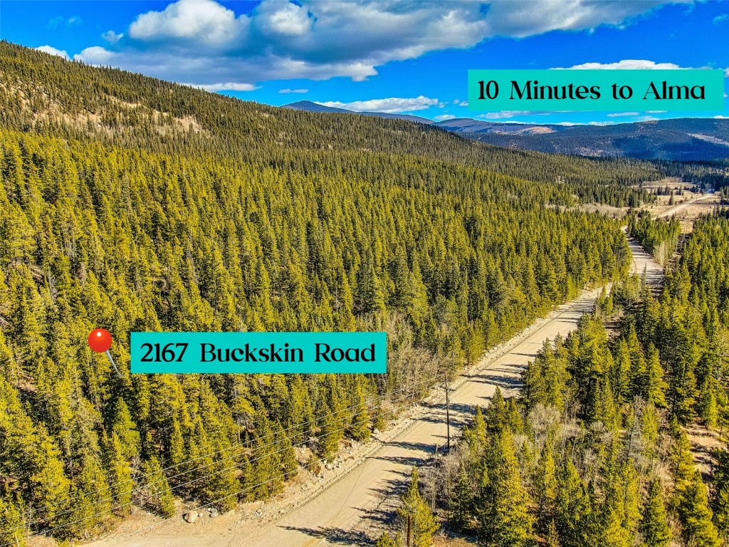 2167 Buckskin Road Alma CO 80440