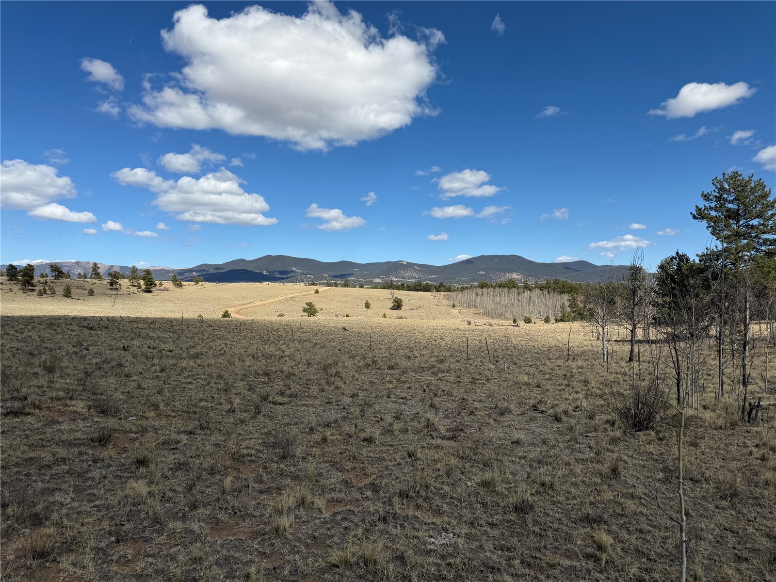 239 Shenandoah Path Hartsel CO 80449