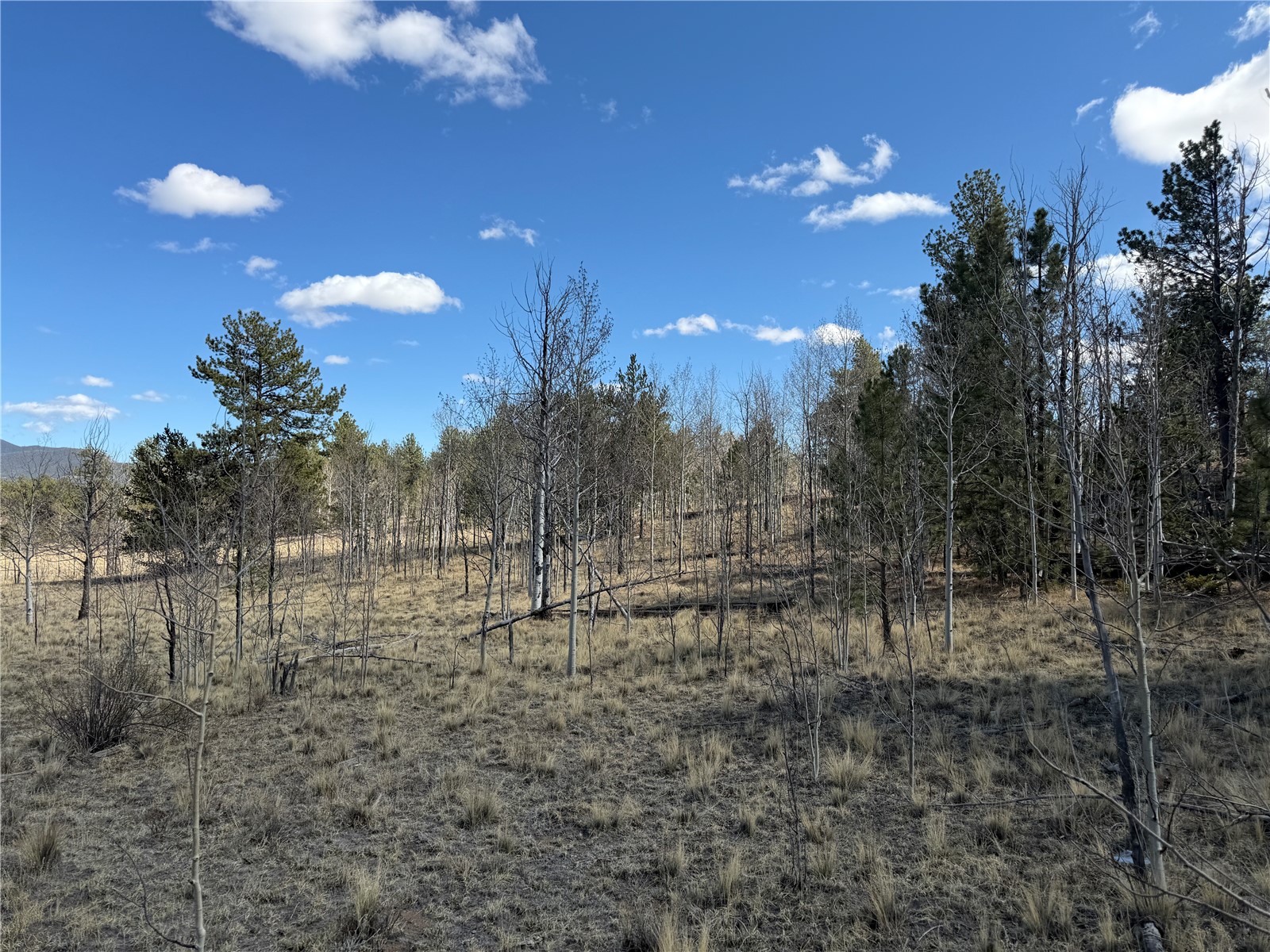 239 Shenandoah Path Hartsel CO 80449