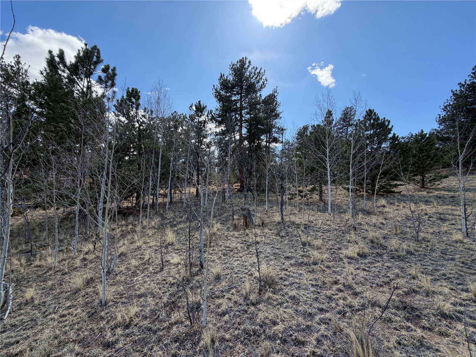 239 Shenandoah Path Hartsel CO 80449