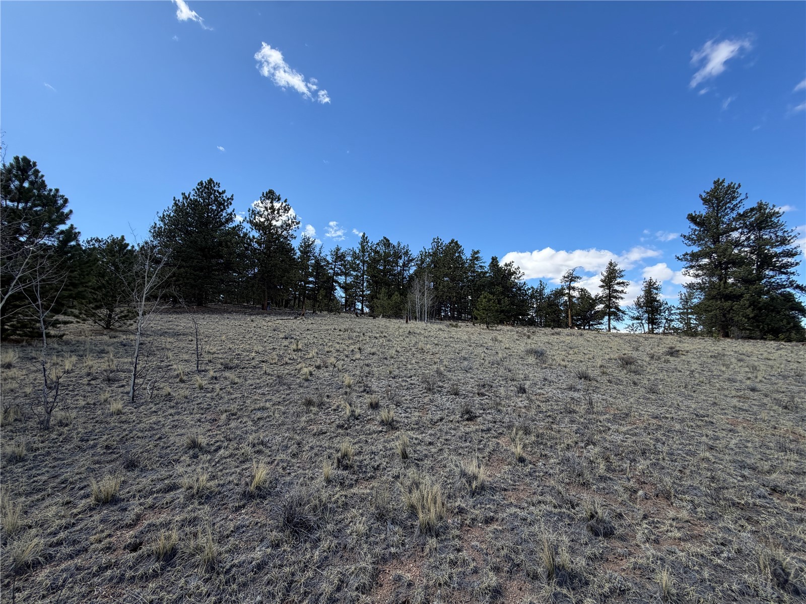 239 Shenandoah Path Hartsel CO 80449