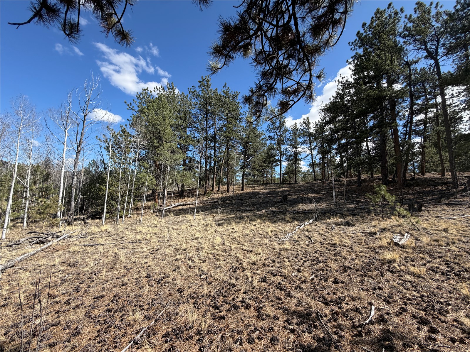 239 Shenandoah Path Hartsel CO 80449