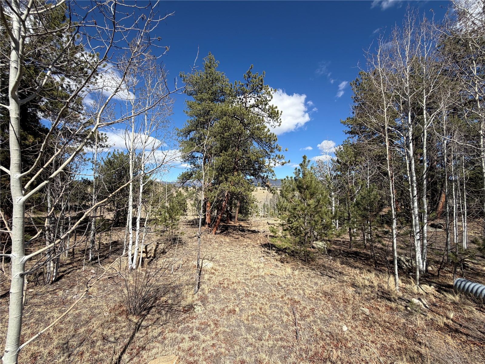 239 Shenandoah Path Hartsel CO 80449