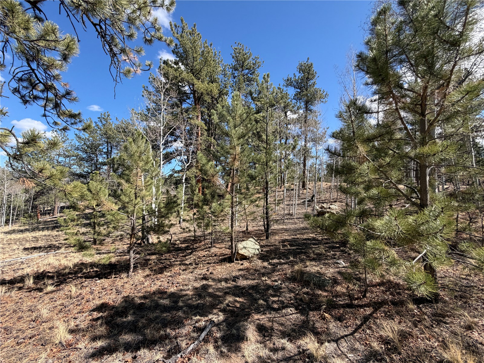 239 Shenandoah Path Hartsel CO 80449