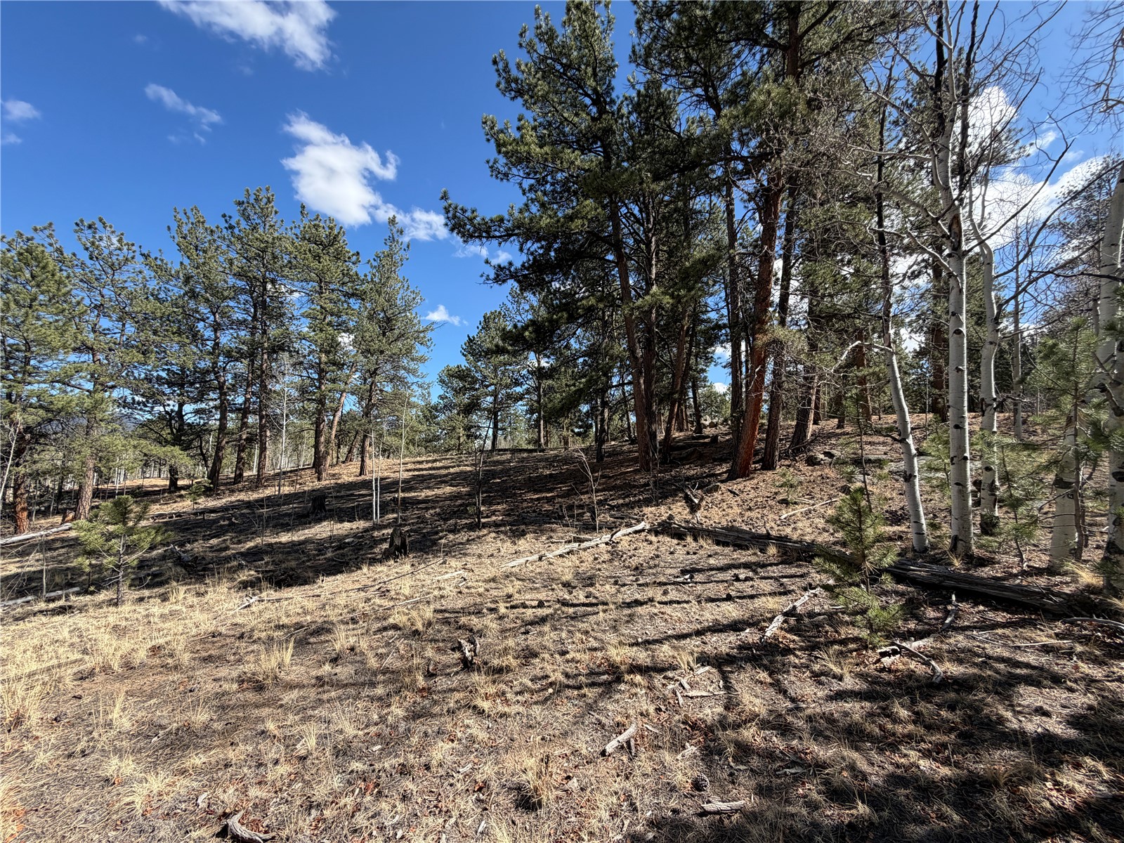 239 Shenandoah Path Hartsel CO 80449