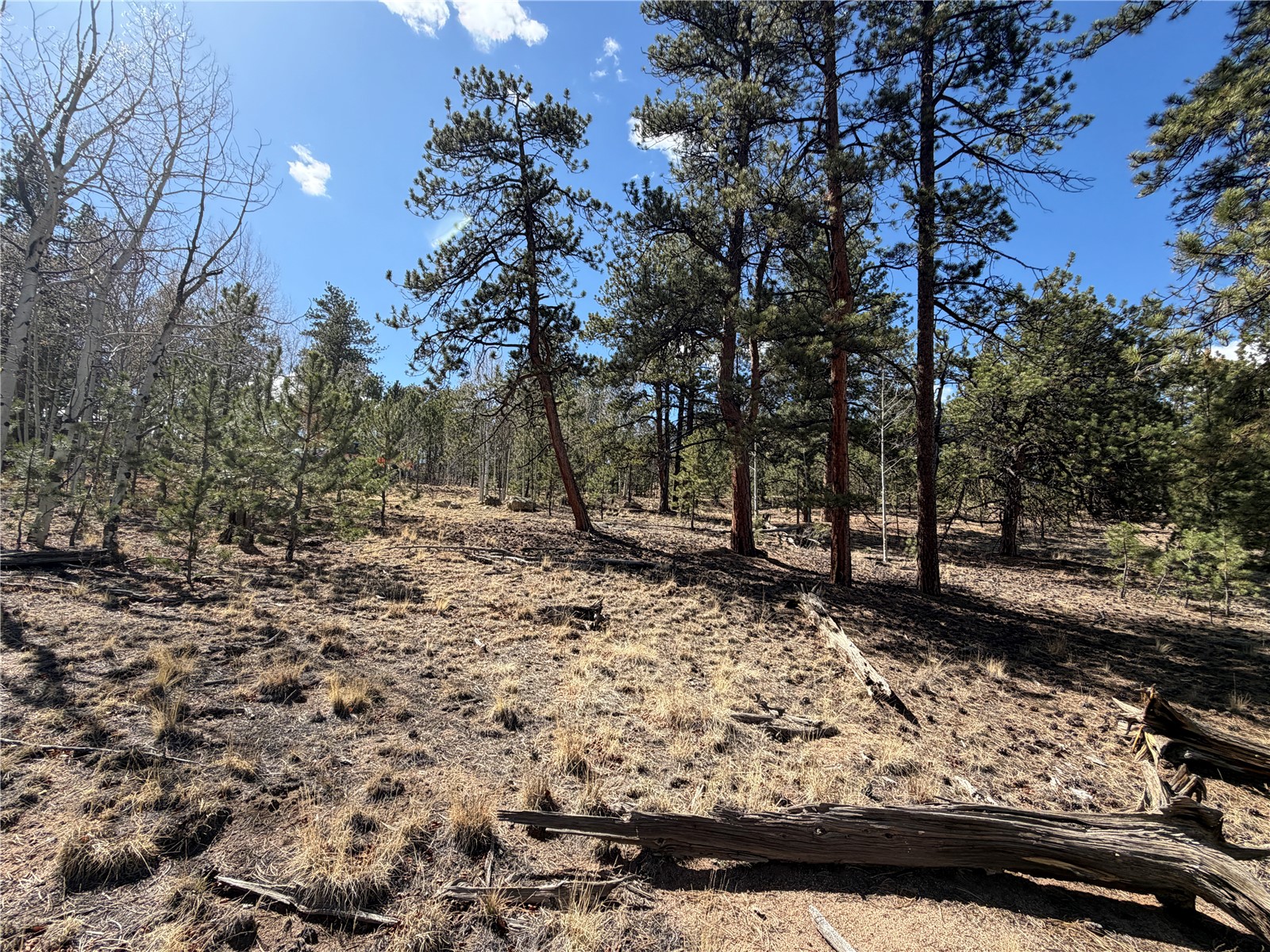 239 Shenandoah Path Hartsel CO 80449