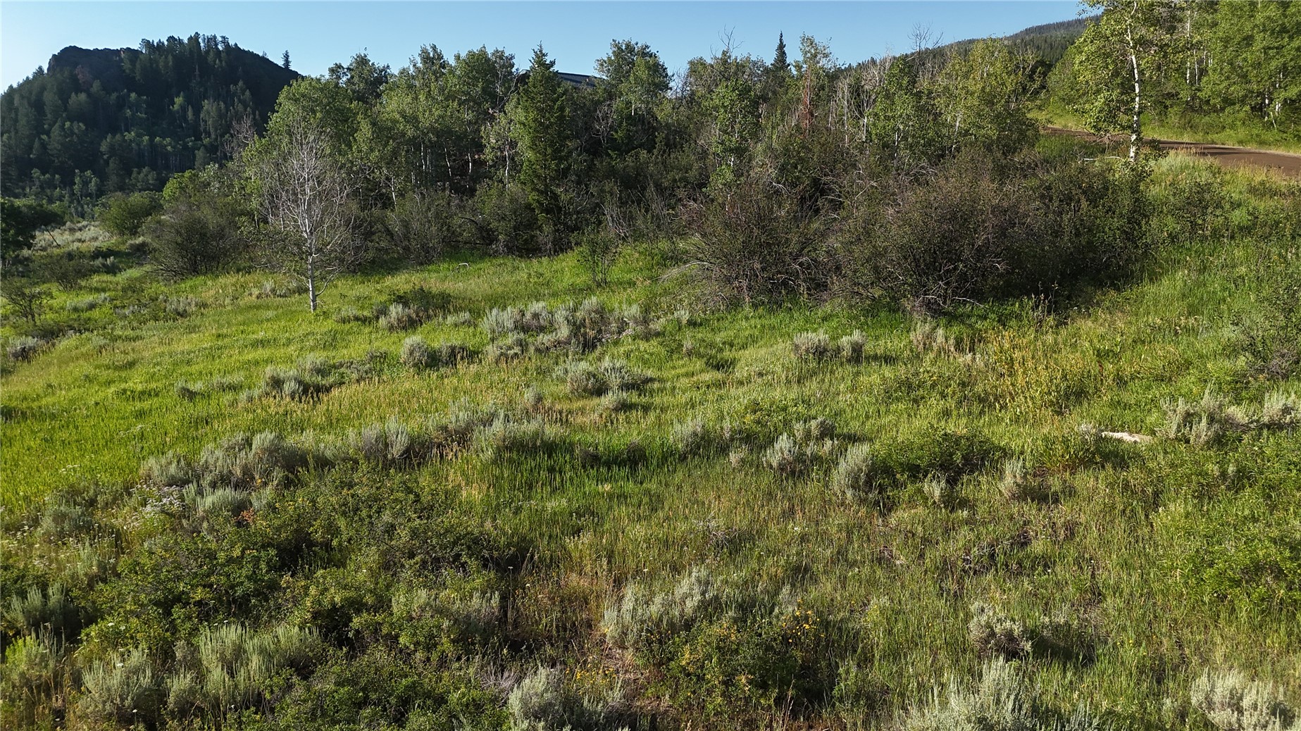 31145 Broken Talon Trail Oak Creek CO 80467