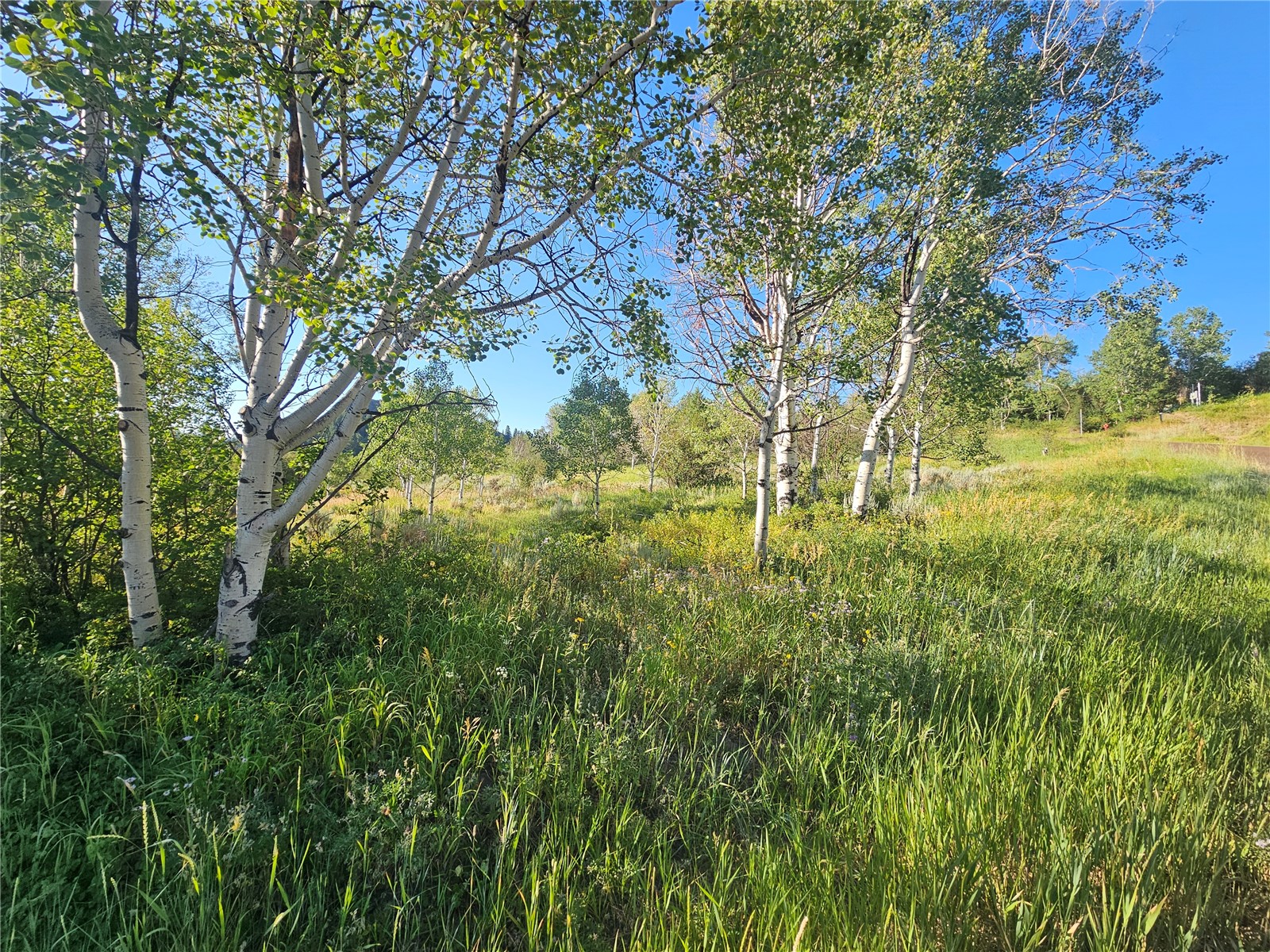 31145 Broken Talon Trail Oak Creek CO 80467