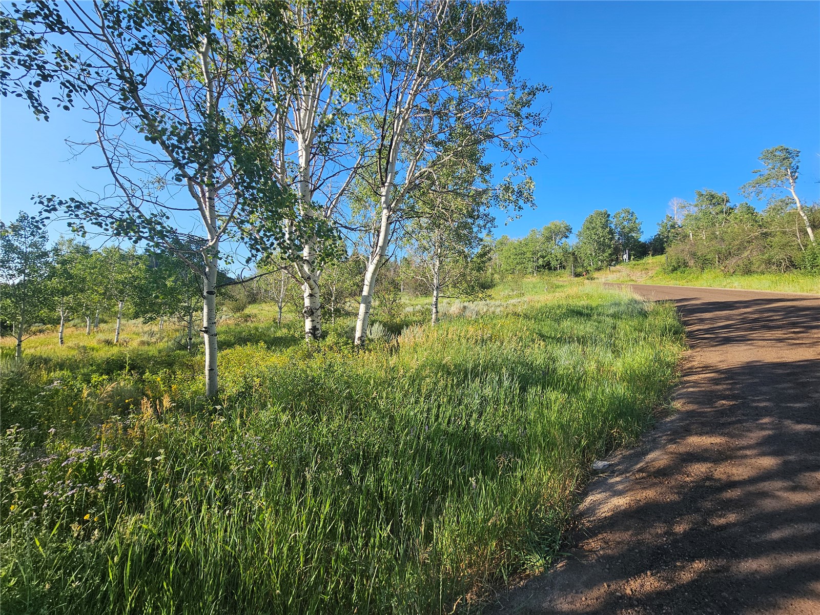 31145 Broken Talon Trail Oak Creek CO 80467