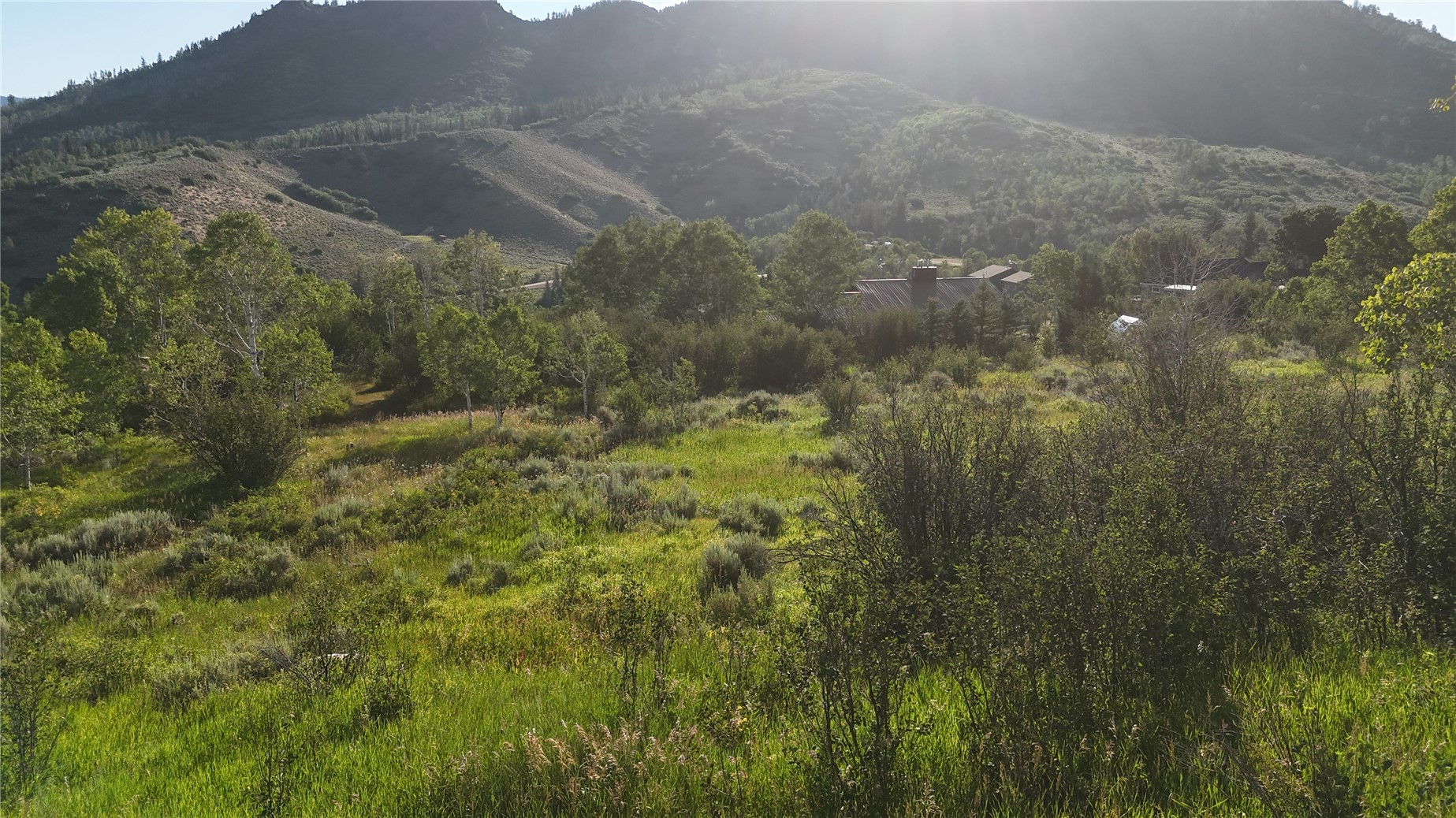 31145 Broken Talon Trail Oak Creek CO 80467