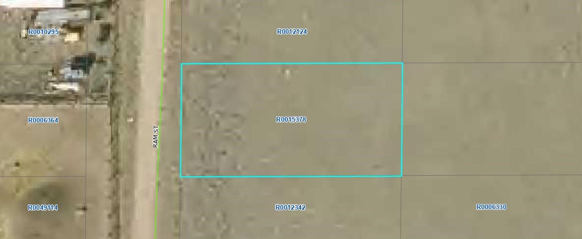 00003 Ram Street Hartsel CO 80449