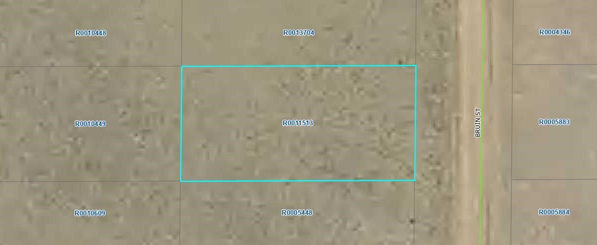 00000 Bruin Street Hartsel CO 80449