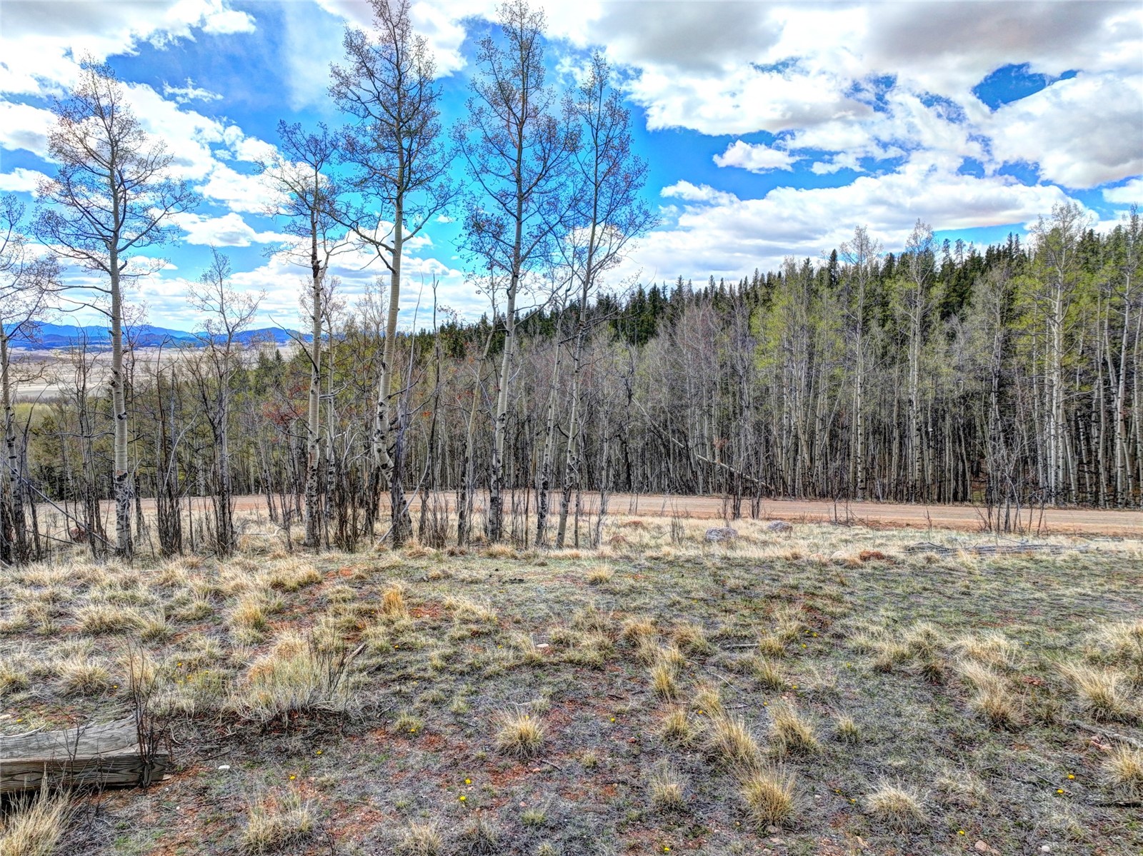 755 Selkirk Lane Jefferson CO 80456
