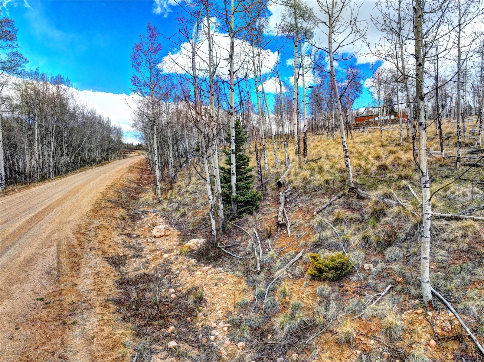 755 Selkirk Lane Jefferson CO 80456