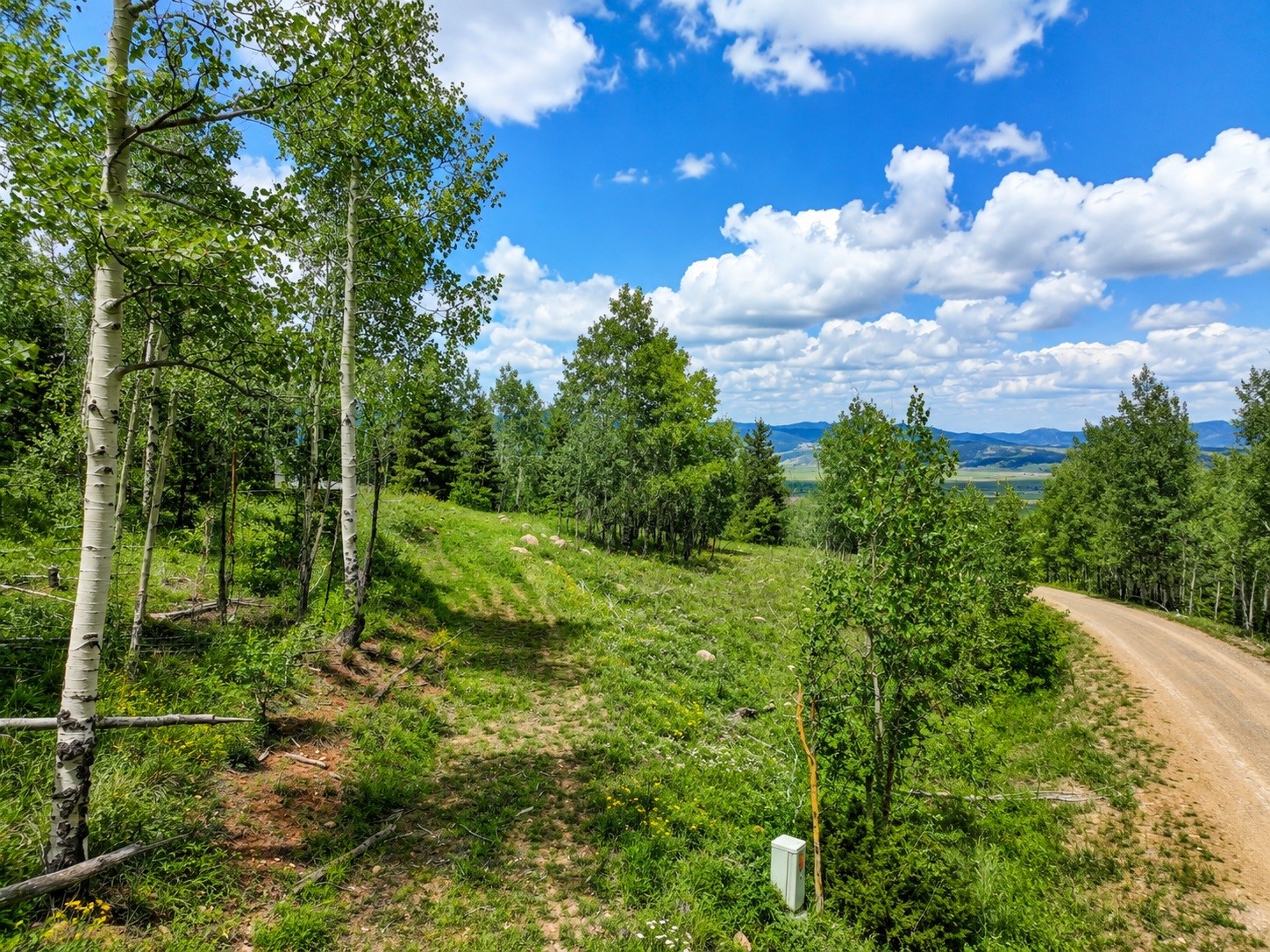 755 Selkirk Lane Jefferson CO 80456