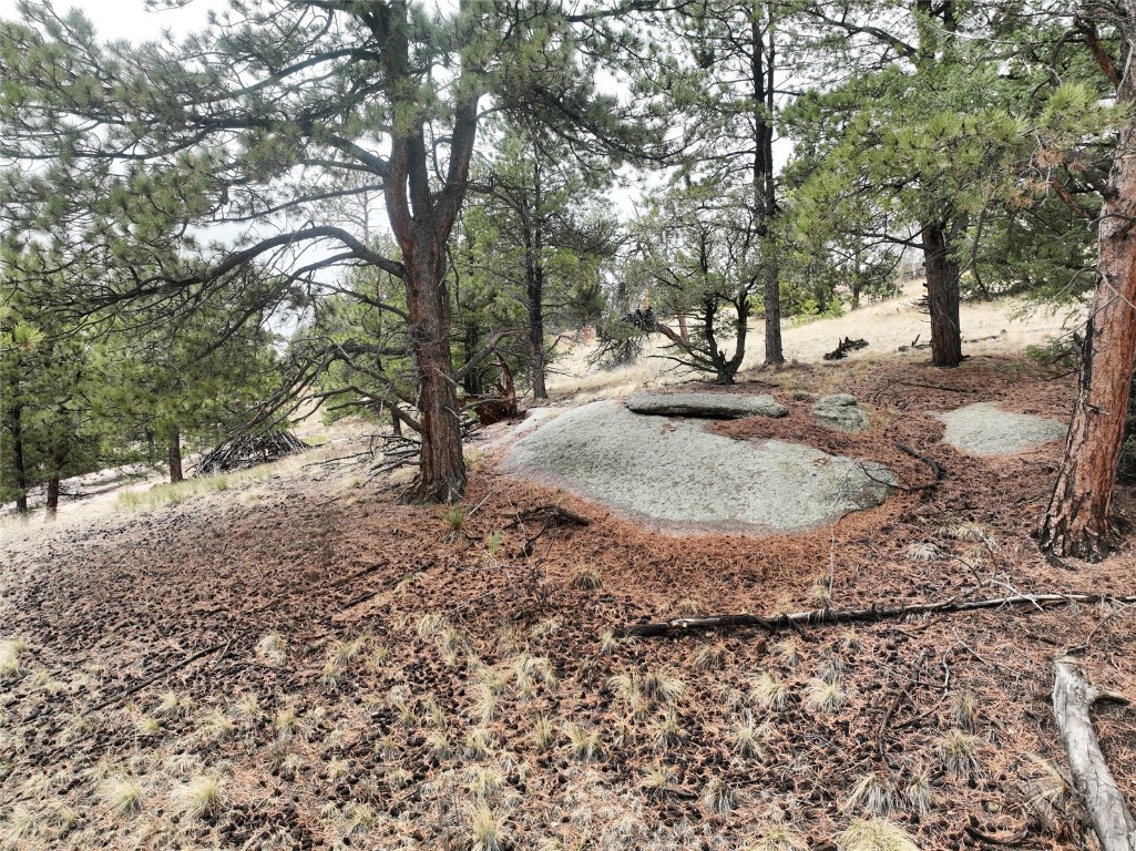 255 Pinon Lane Florissant CO 80816