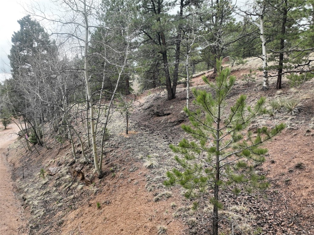 255 Pinon Lane Florissant CO 80816