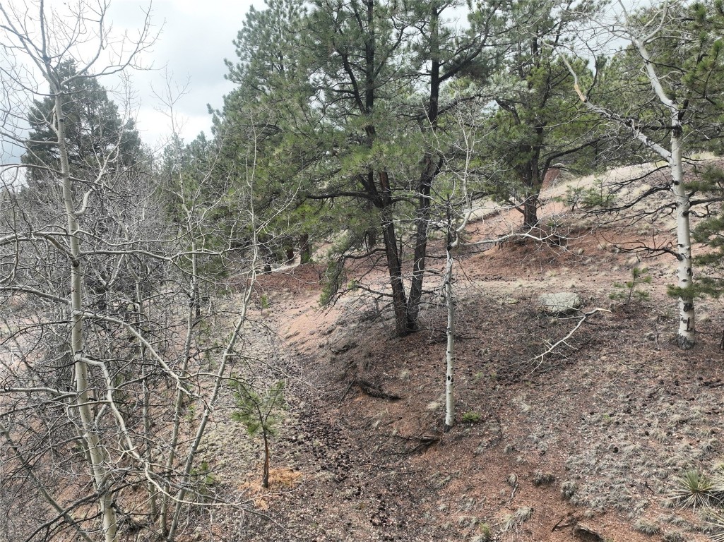 255 Pinon Lane Florissant CO 80816