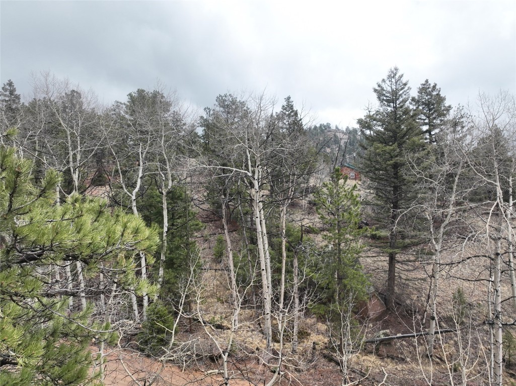 255 Pinon Lane Florissant CO 80816