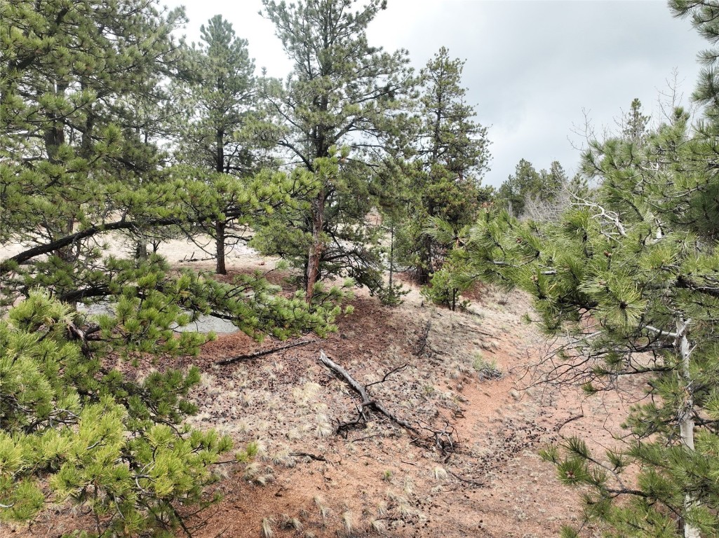 255 Pinon Lane Florissant CO 80816