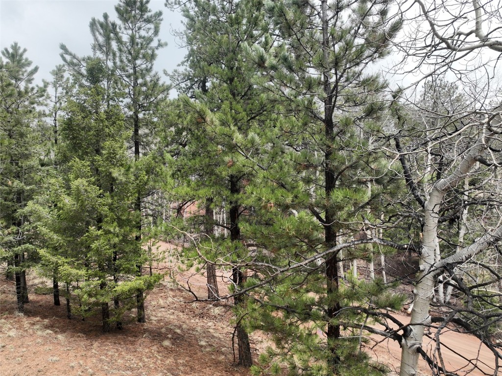 255 Pinon Lane Florissant CO 80816