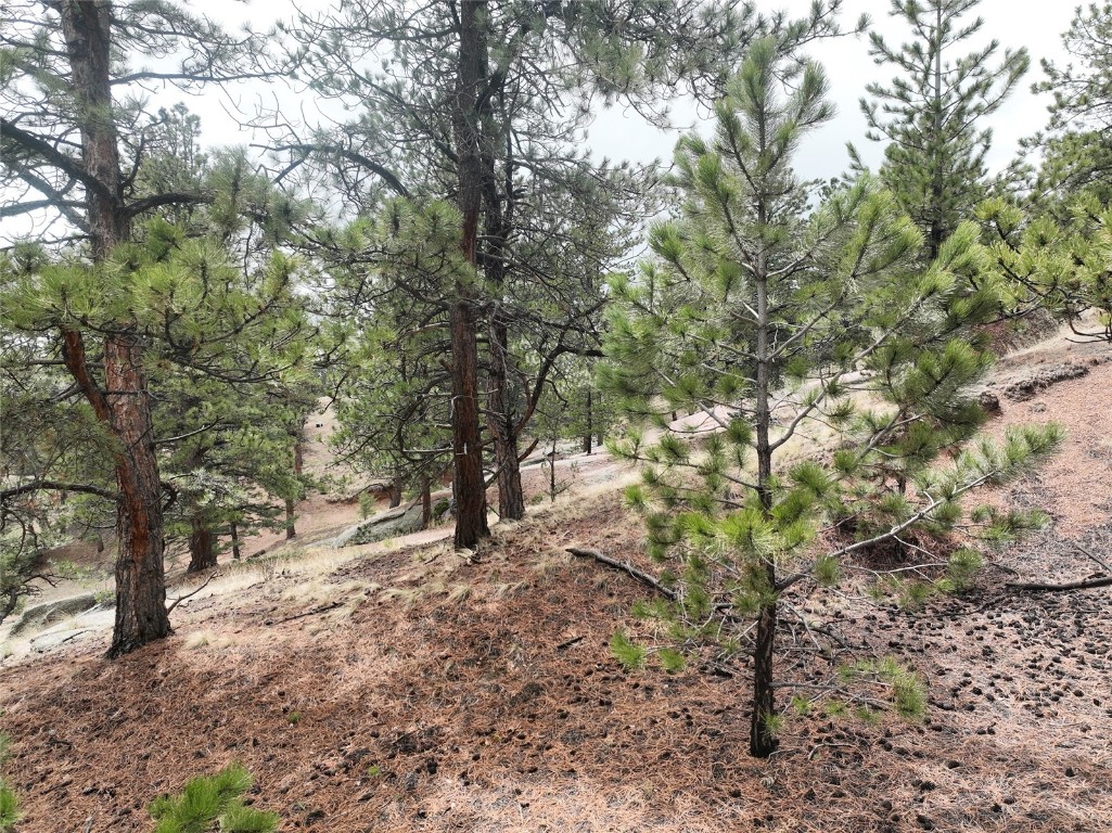255 Pinon Lane Florissant CO 80816