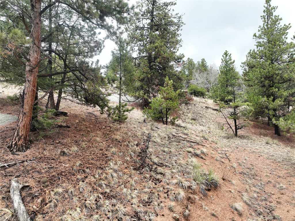 255 Pinon Lane Florissant CO 80816