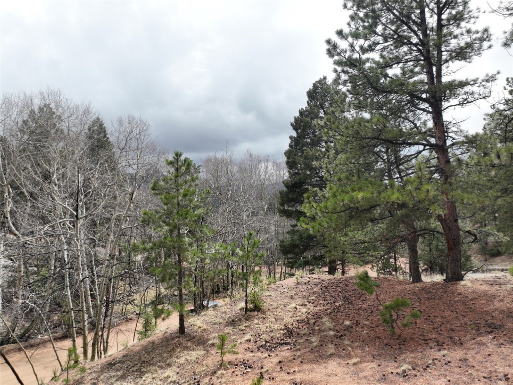 255 Pinon Lane Florissant CO 80816