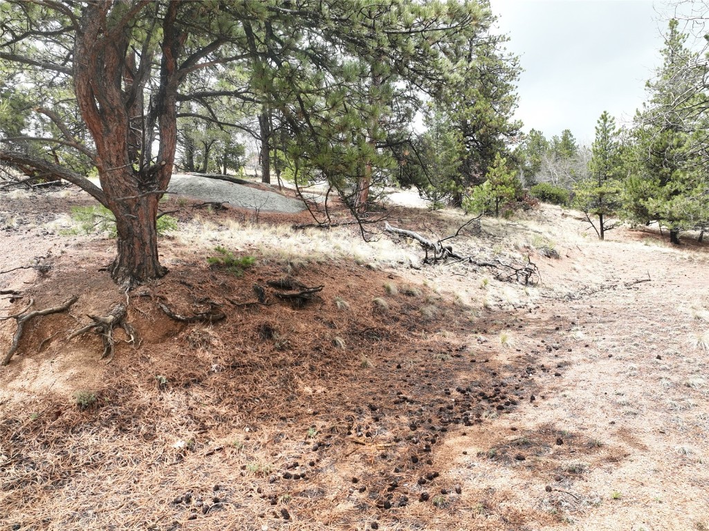 255 Pinon Lane Florissant CO 80816