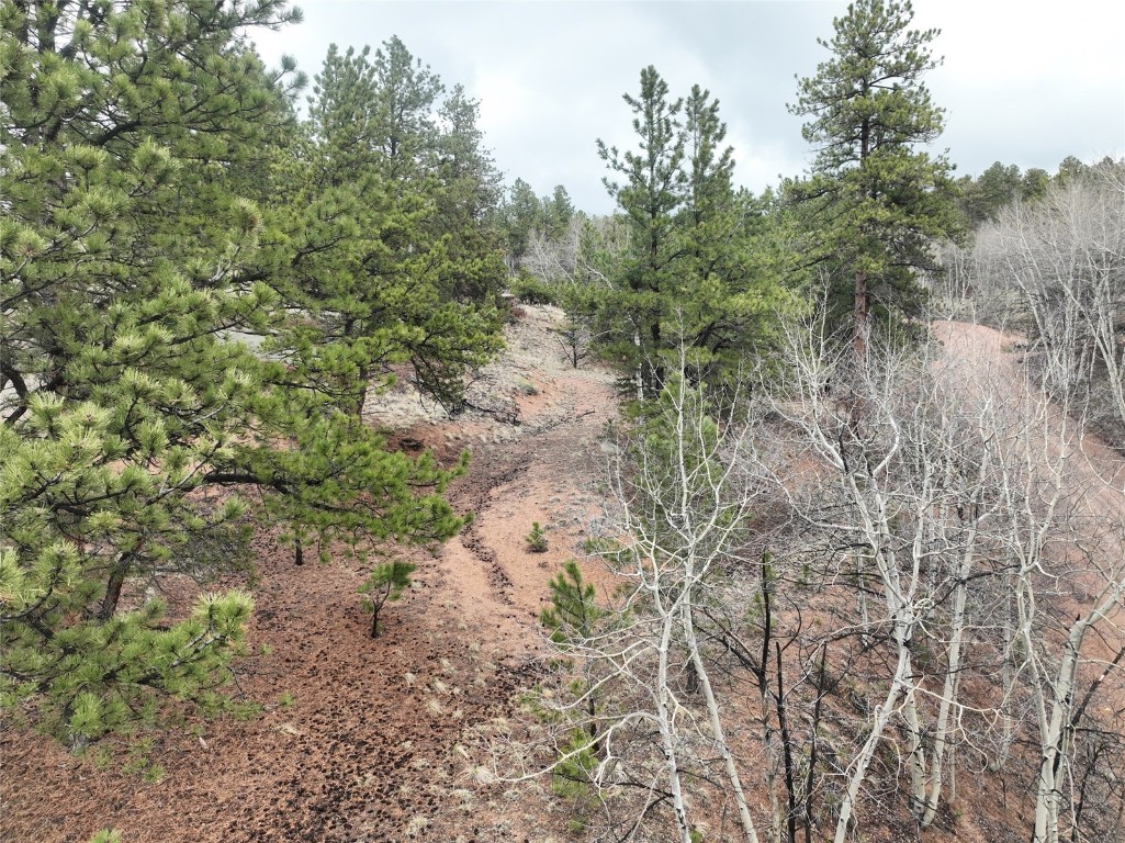 255 Pinon Lane Florissant CO 80816