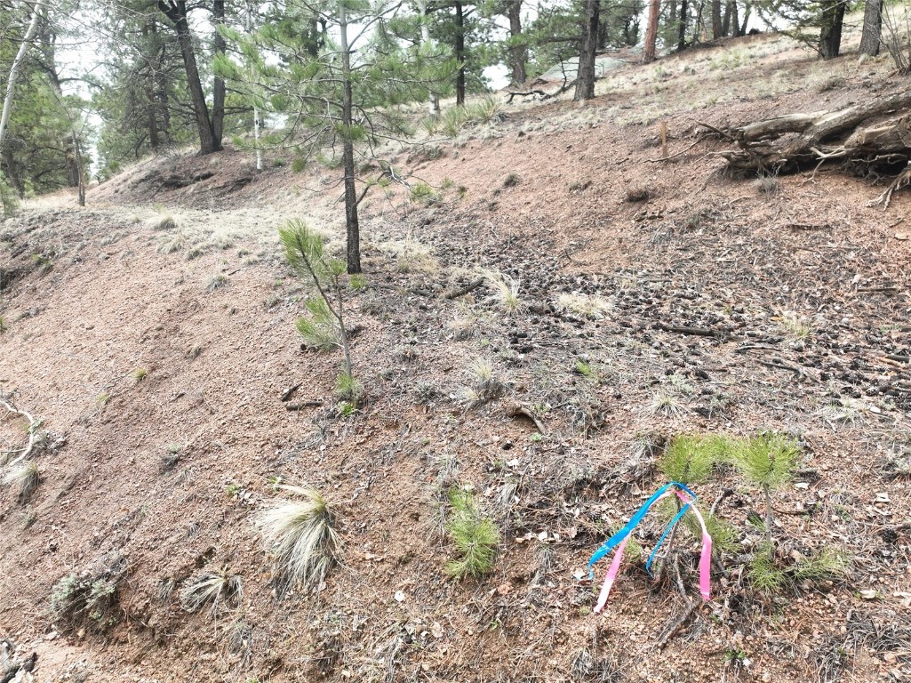 255 Pinon Lane Florissant CO 80816