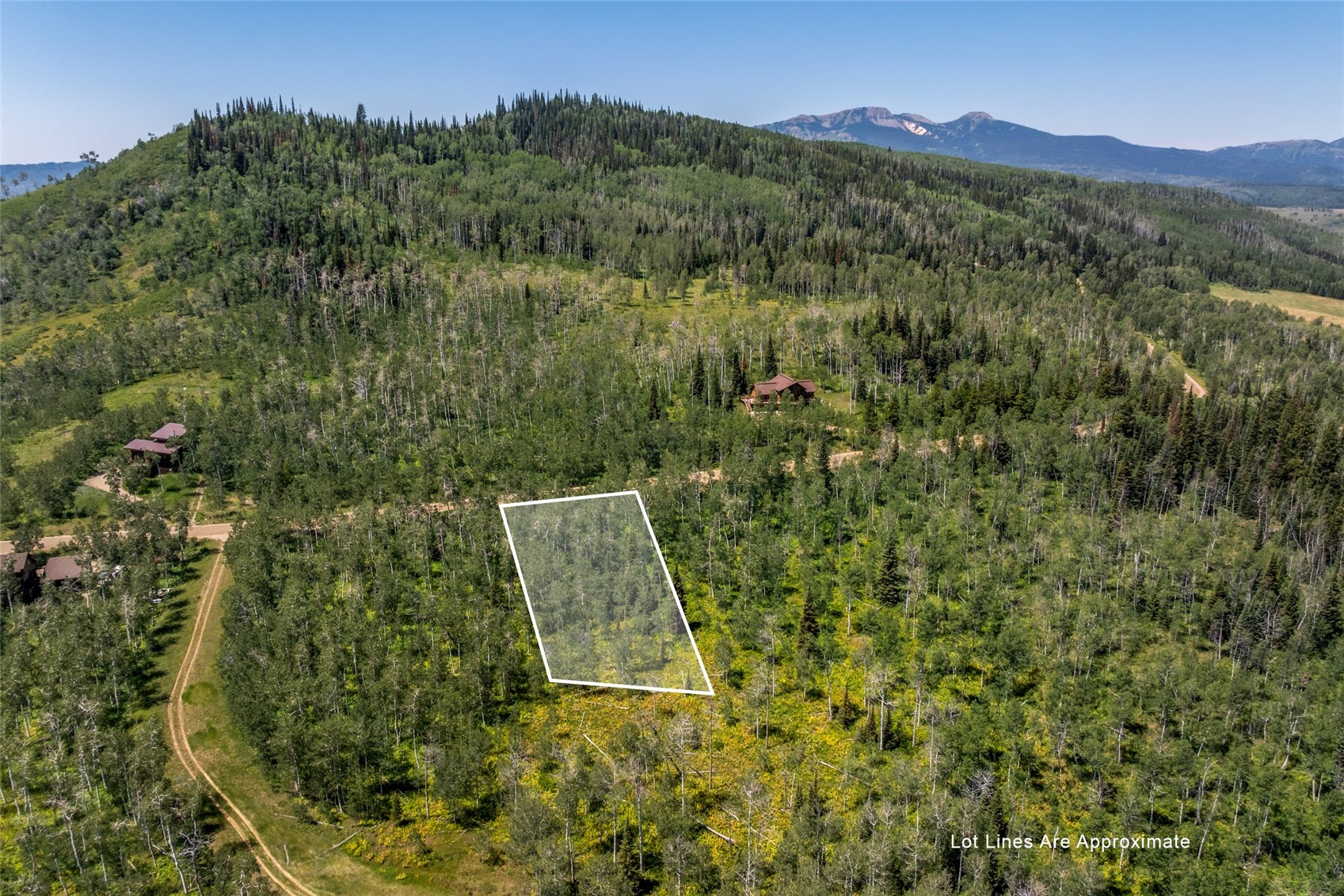26770 Willow Gulch Clark CO 80428