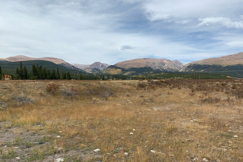 64 Glissade Trail Alma CO 80420