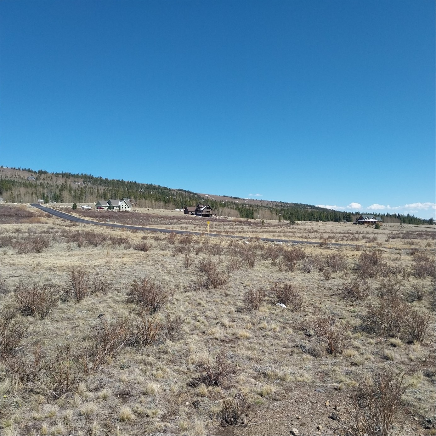 64 Glissade Trail Alma CO 80420