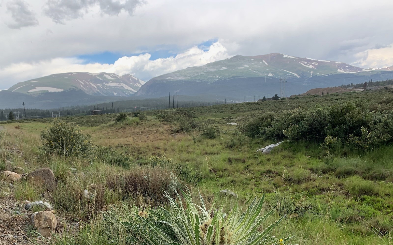 64 Glissade Trail Alma CO 80420