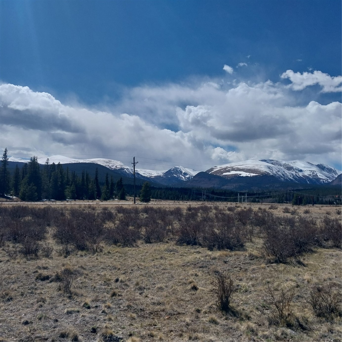 64 Glissade Trail Alma CO 80420