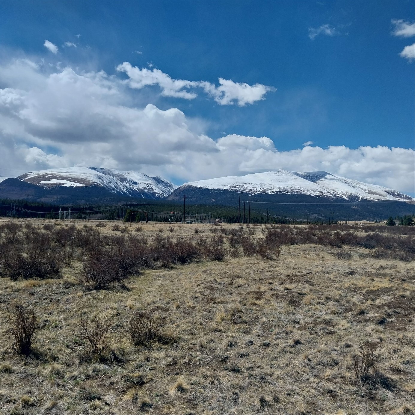 64 Glissade Trail Alma CO 80420