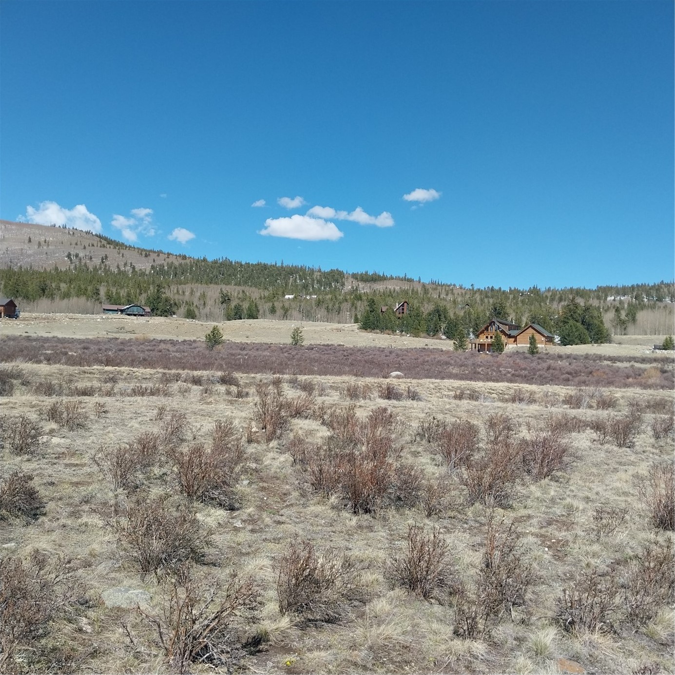 64 Glissade Trail Alma CO 80420