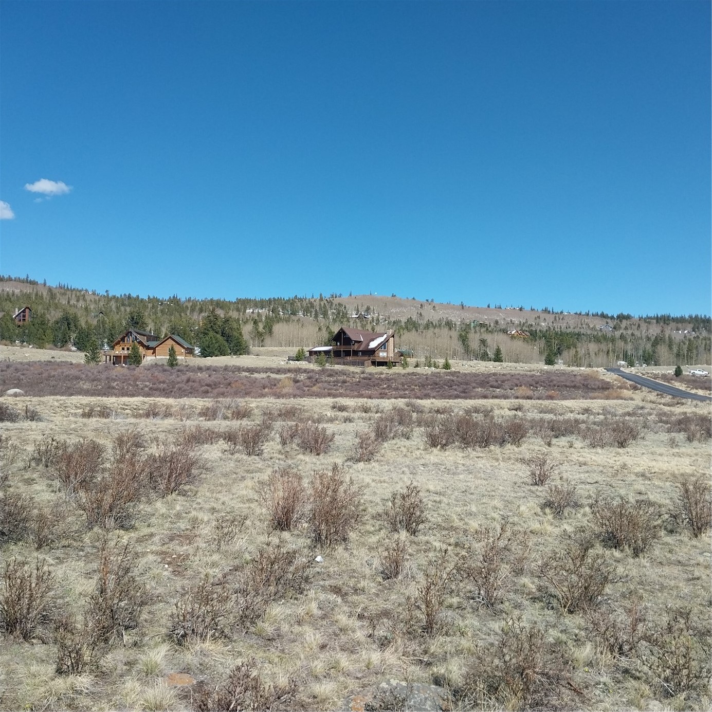 64 Glissade Trail Alma CO 80420
